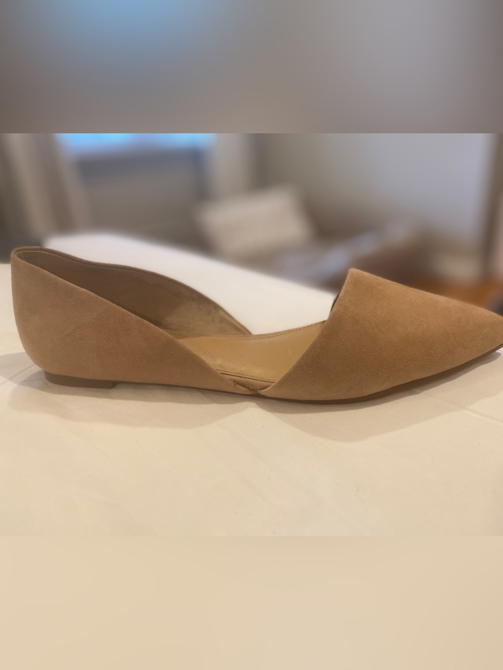 J. Crew Women's Tan Suede Pointed Flat